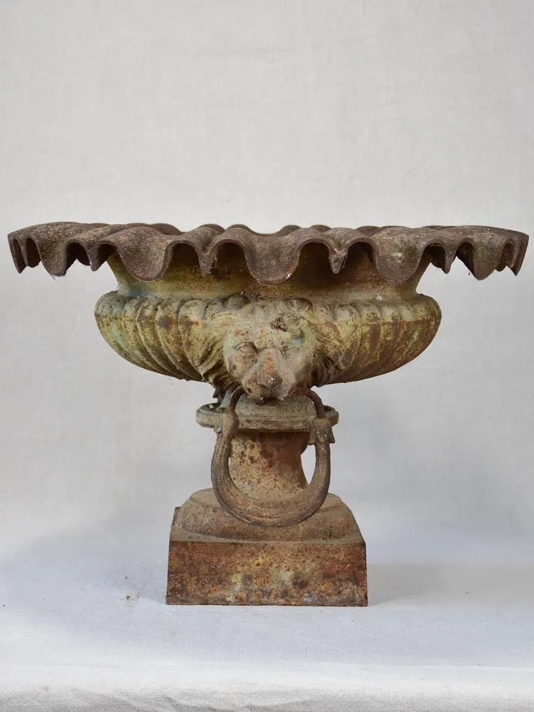 19th century French Medici urn with lion's head and loop handles 20¾"