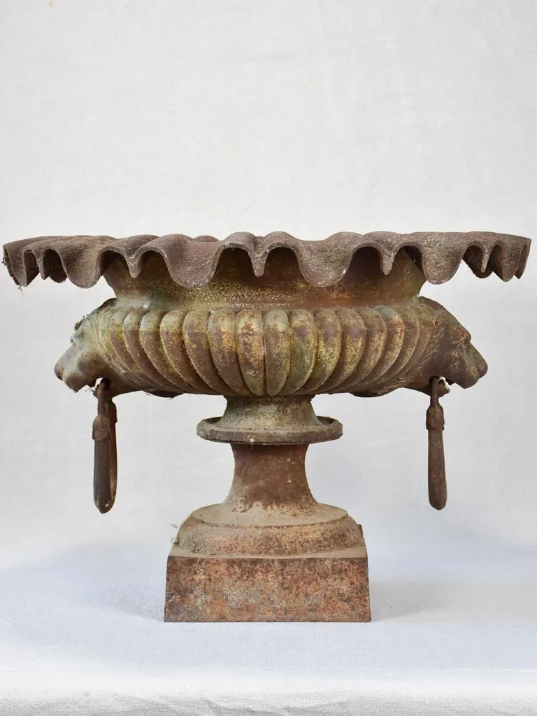 19th century French Medici urn with lion's head and loop handles 20¾"