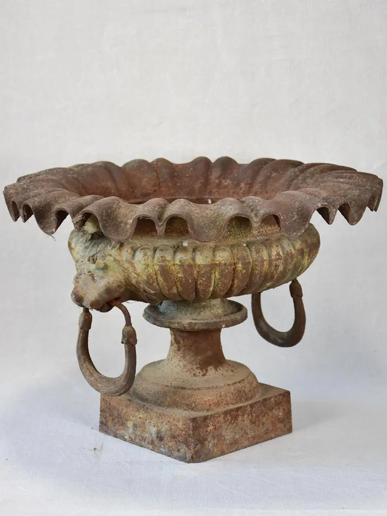 19th century French Medici urn with lion's head and loop handles 20¾"