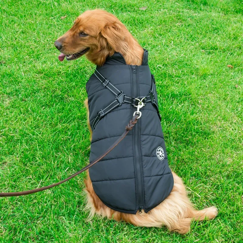 Cotton Waterproof Winter Vest for Dogs