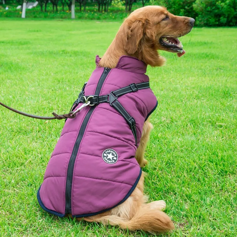 Cotton Waterproof Winter Vest for Dogs