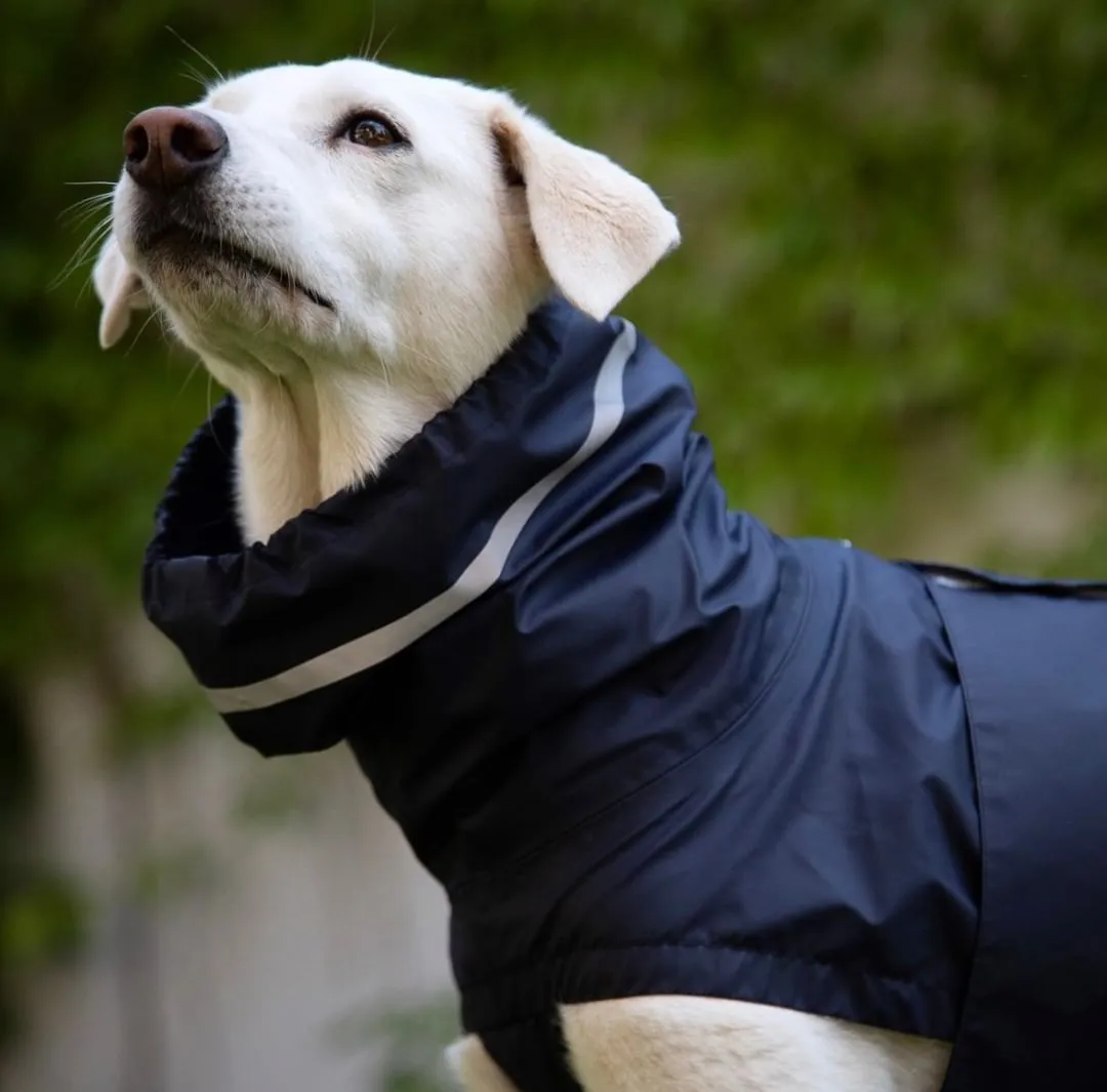 Dog Raincoat Hamburg