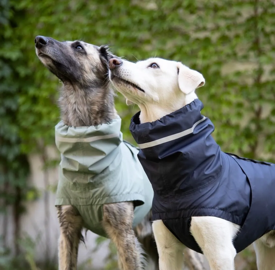 Dog Raincoat Hamburg