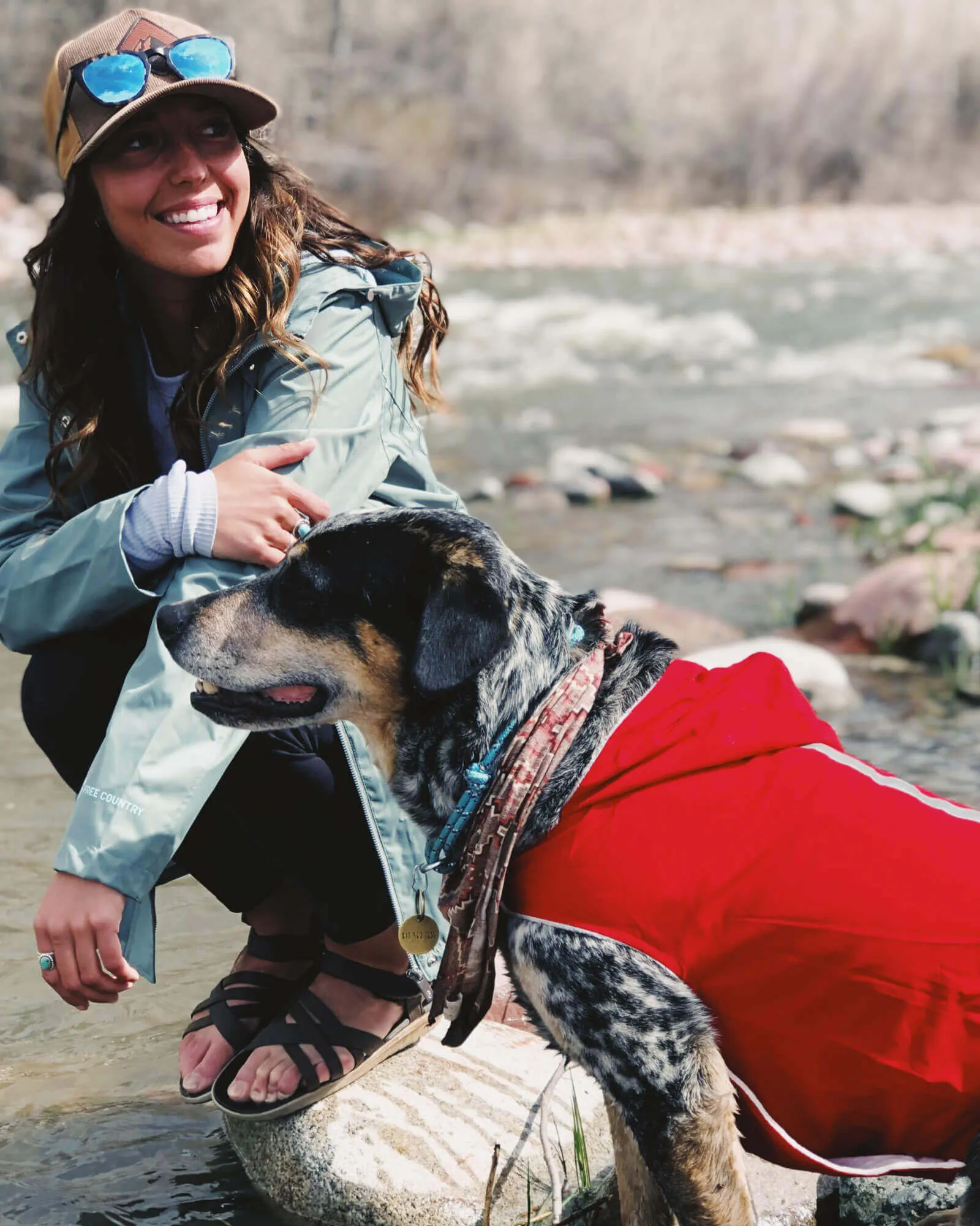 Dog Raincoat