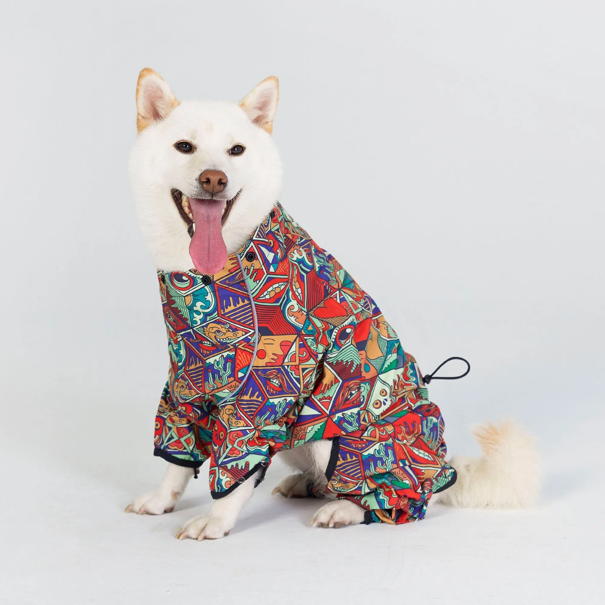 Dragon Icon Dog Raincoat