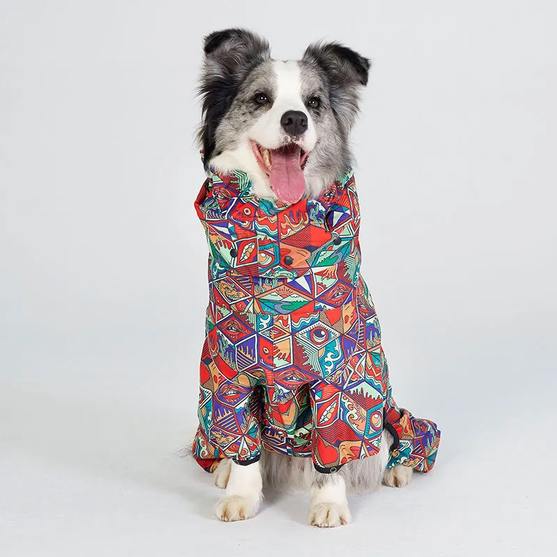 Dragon Icon Dog Raincoat