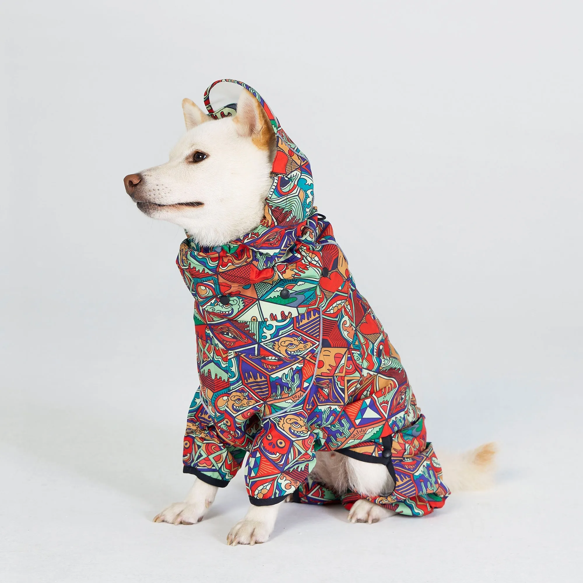 Dragon Icon Dog Raincoat