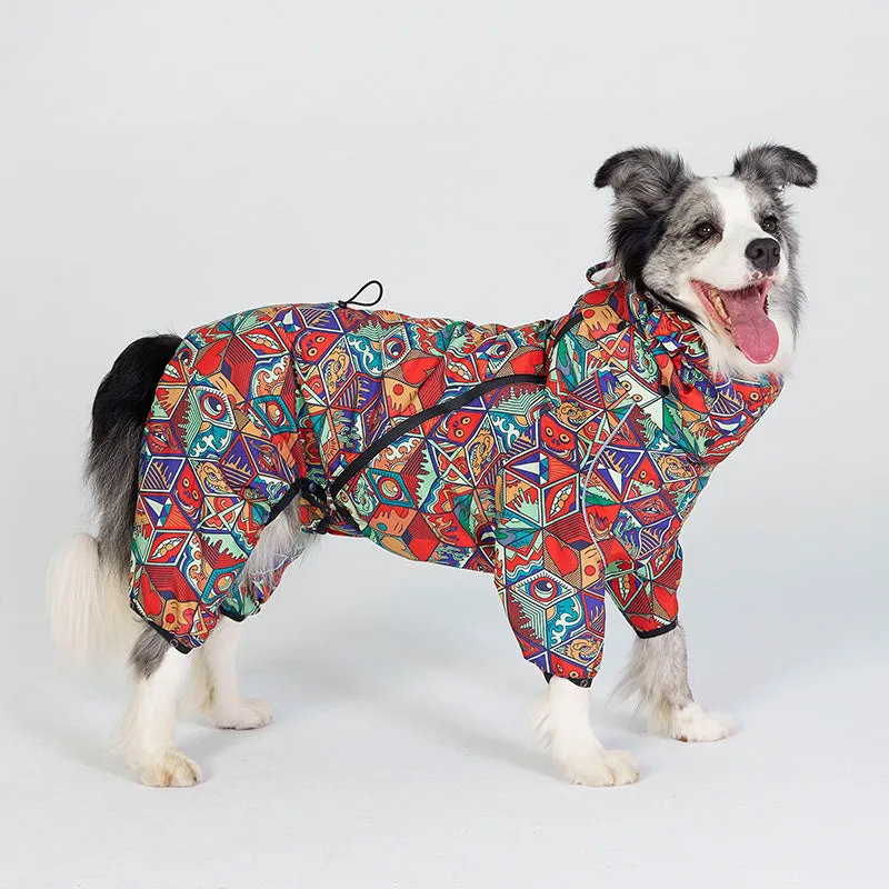 Dragon Icon Dog Raincoat