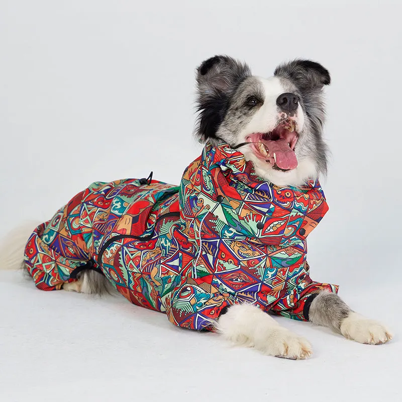 Dragon Icon Dog Raincoat