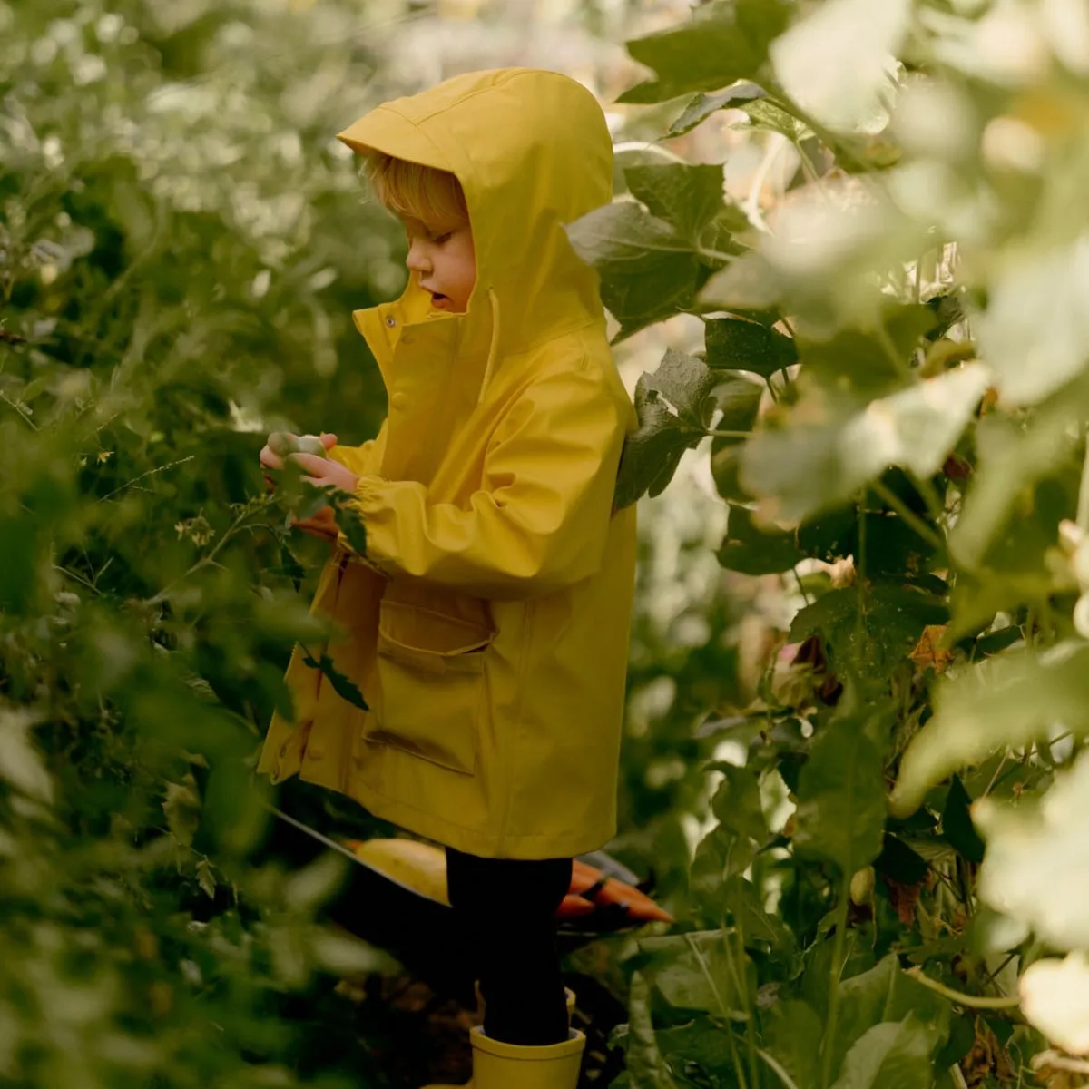 Nature Baby Raincoat Mustard