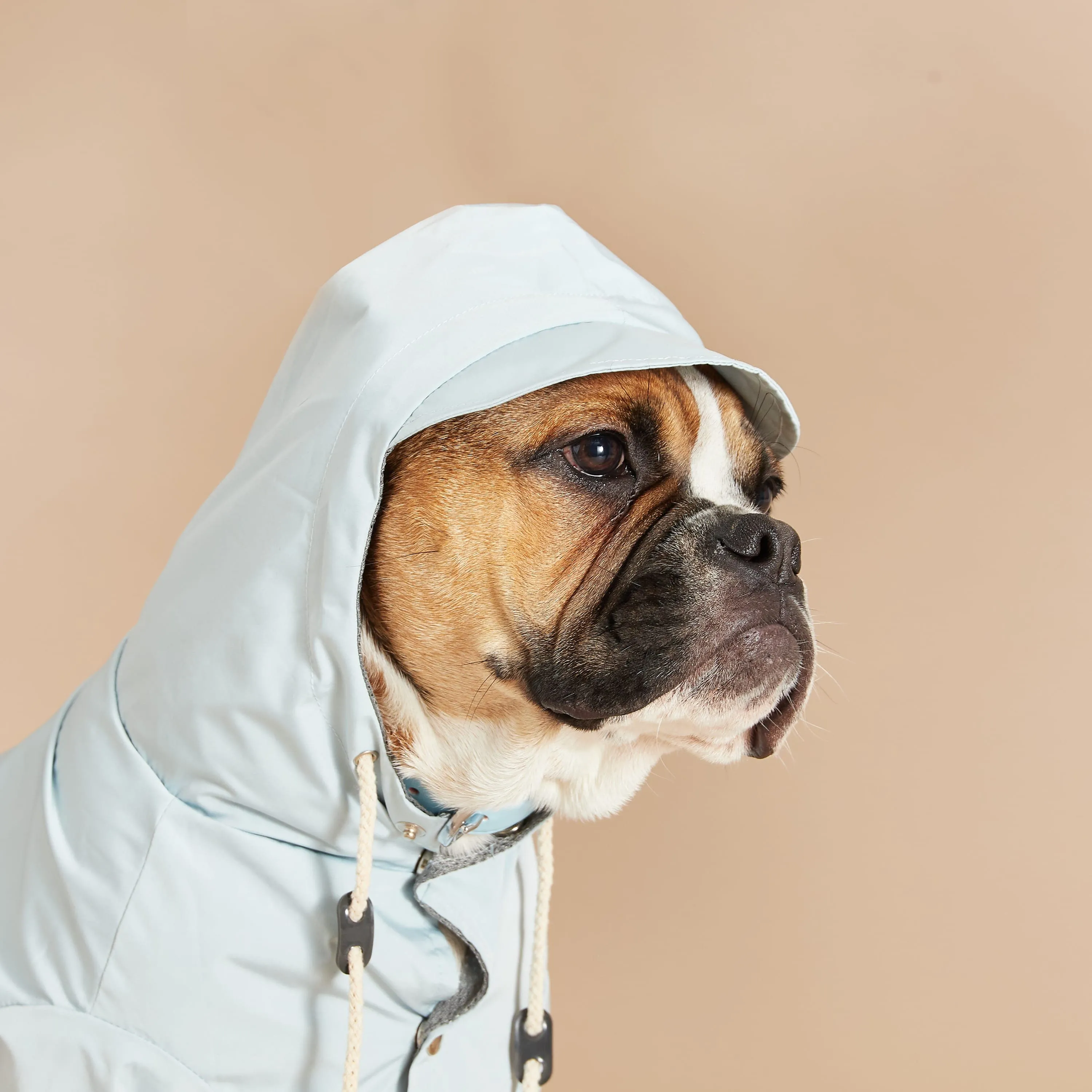 Original Water-Repellant Dog Raincoat | Blue