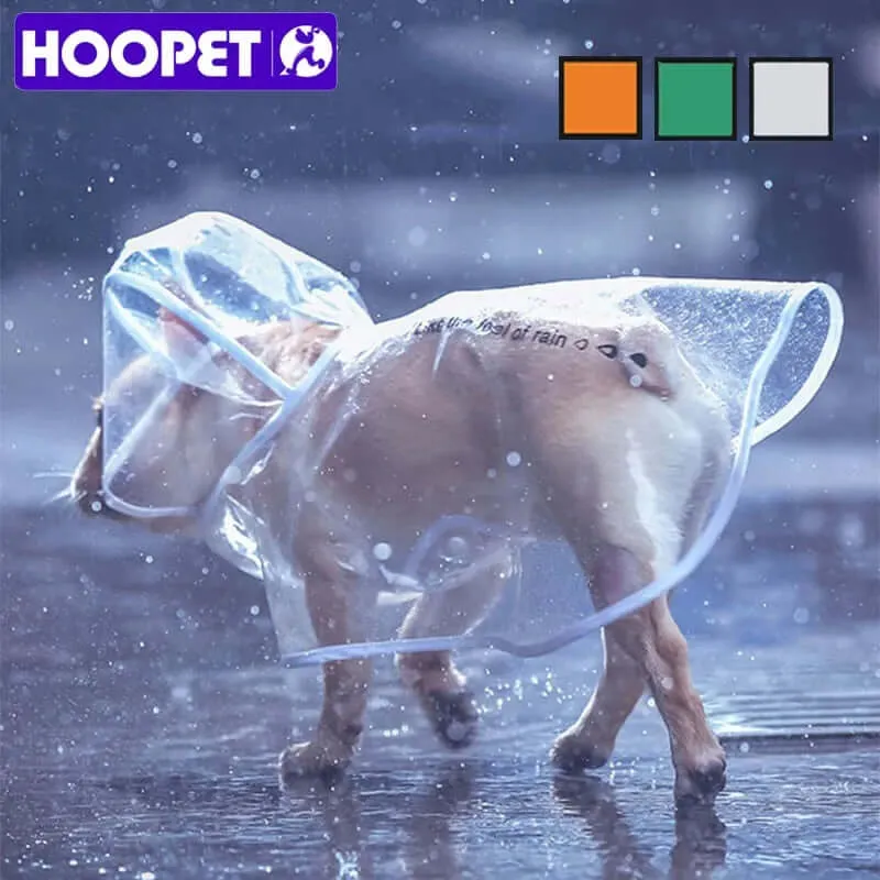 Raincoat for Small Dogs