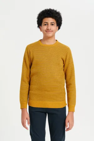 Senior Boys Mustard Knitted Pullover