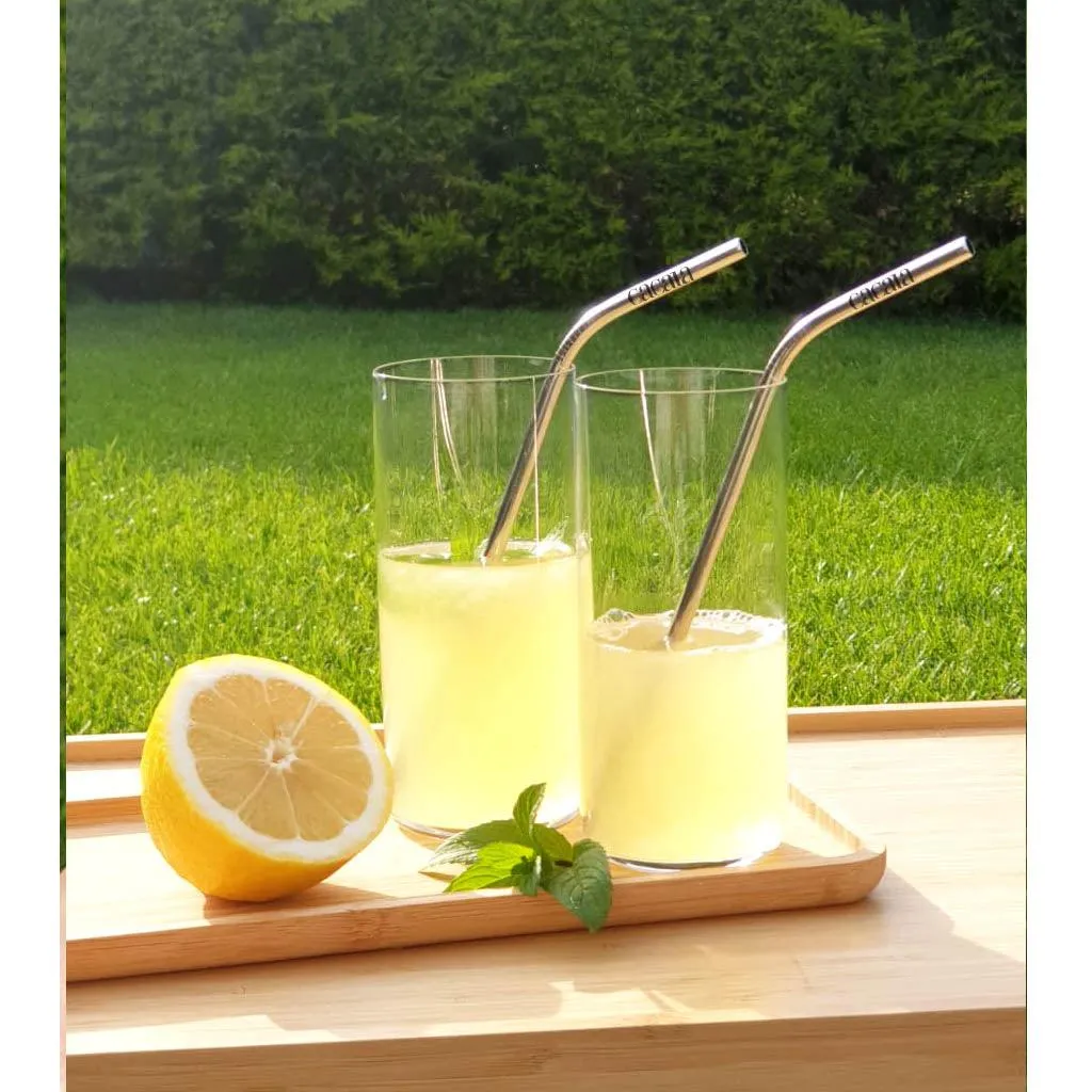 Stainless Steel Straw - 2 Pack